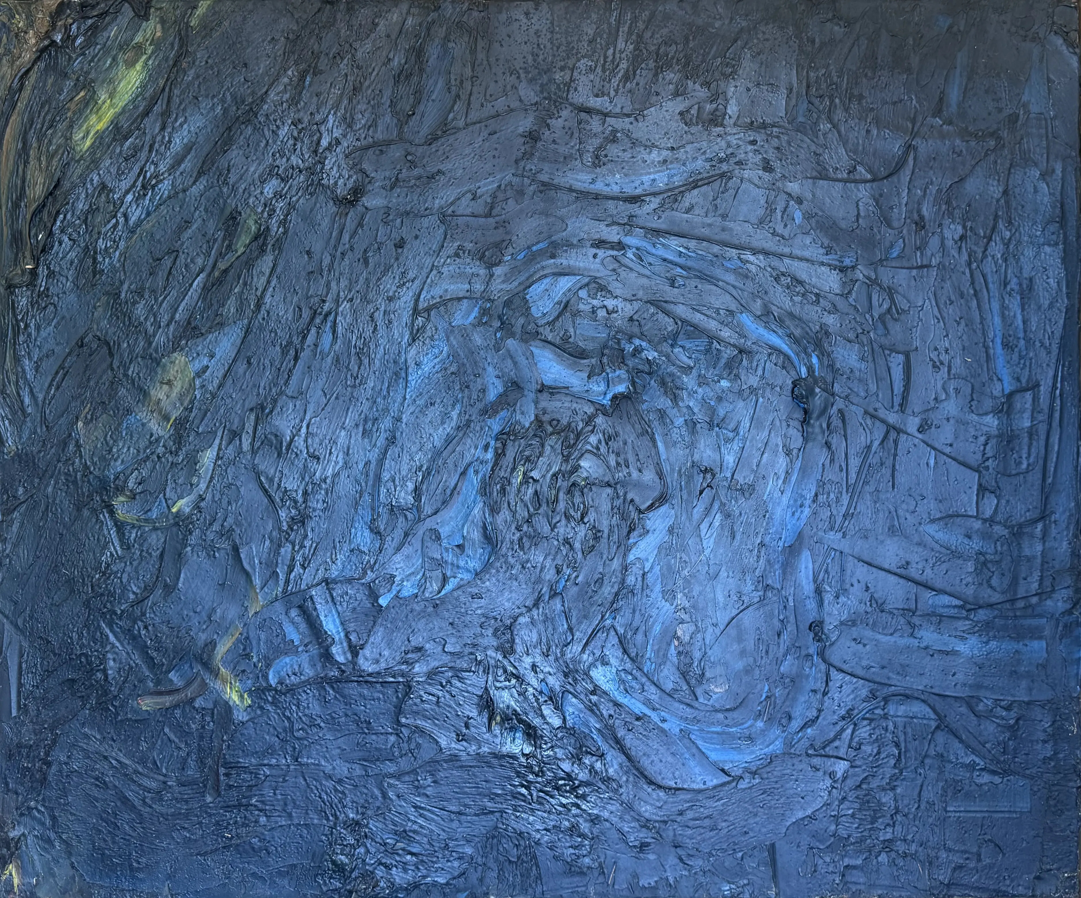 The Painter's Shadow on a Garden, Night